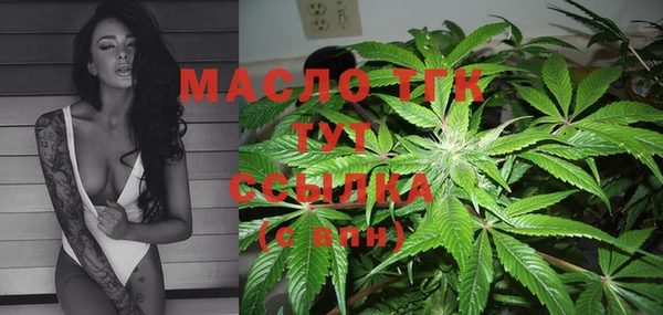 PSILOCYBIN Белокуриха