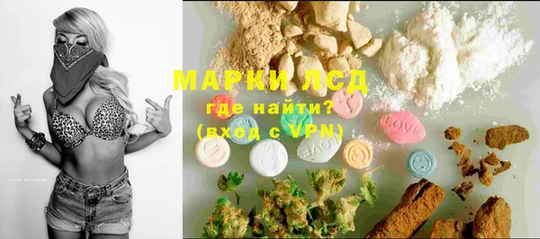 PSILOCYBIN Белокуриха