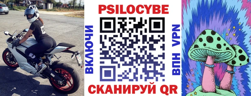 хочу наркоту  KRAKEN зеркало  Галлюциногенные грибы Magic Shrooms  Буйнакск 