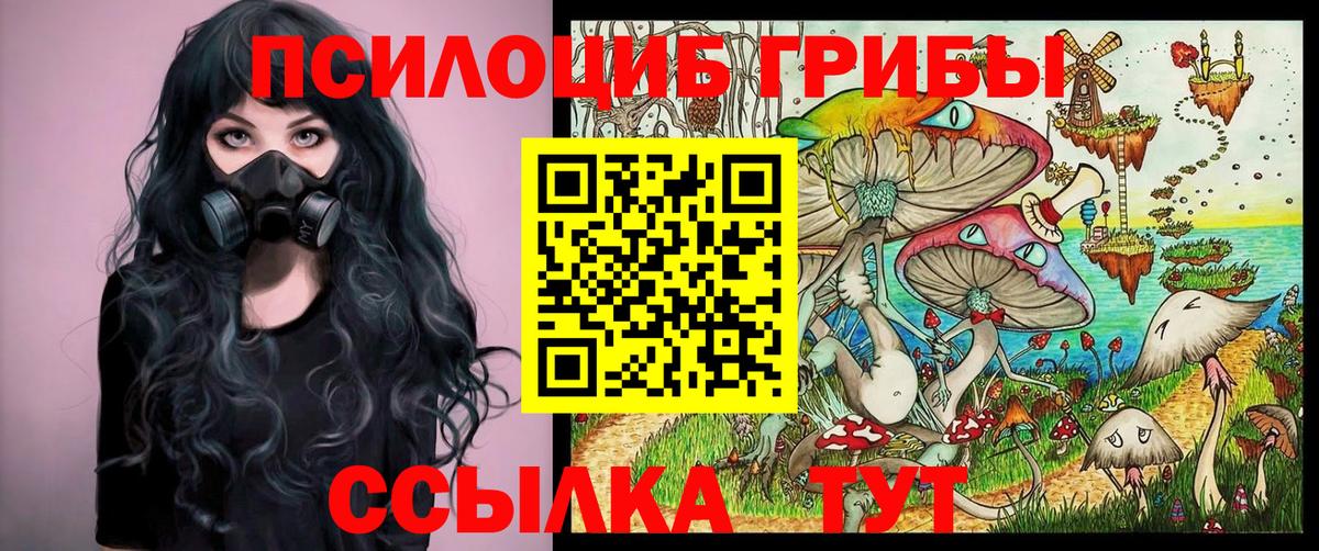 Галлюциногенные грибы мицелий  Галлюциногенные грибы Cubensis  Вход с VPN  Буйнакск 